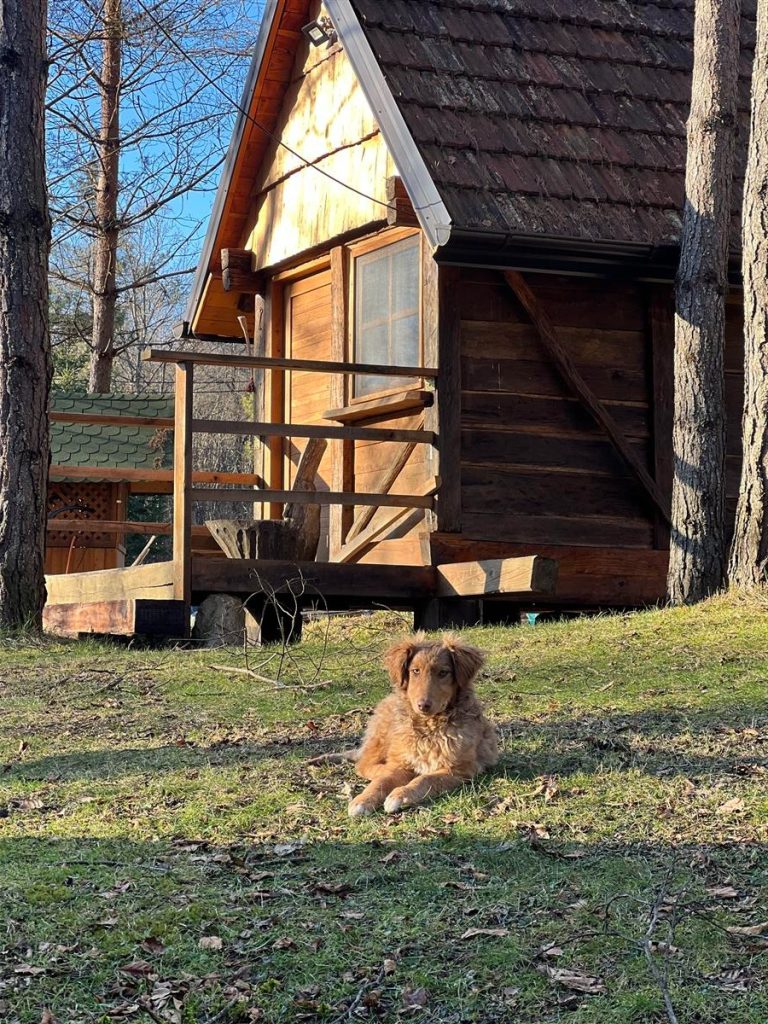 imgi 19 IMG 8340 768x1024