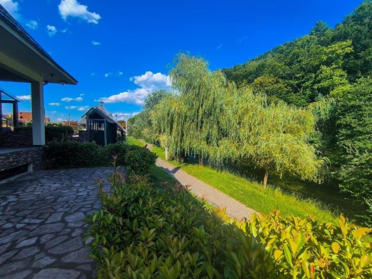 imgi 244 723962419 768x576