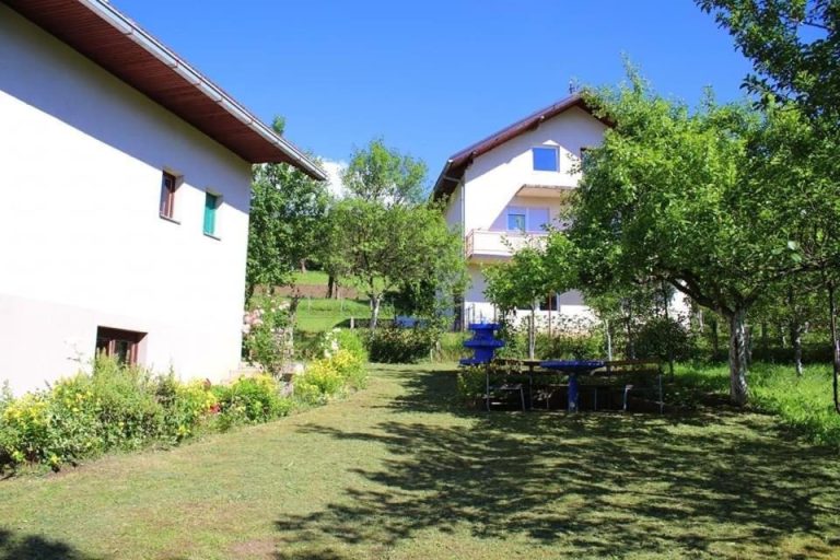 imgi 253 557934584 768x512