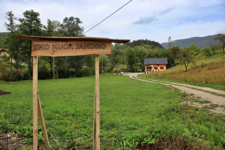 imgi 259 495004700 768x512