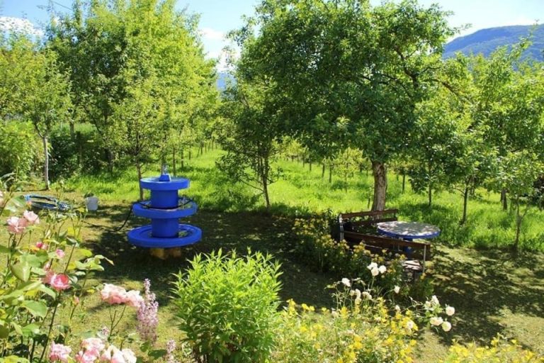 imgi 260 557934579 768x512