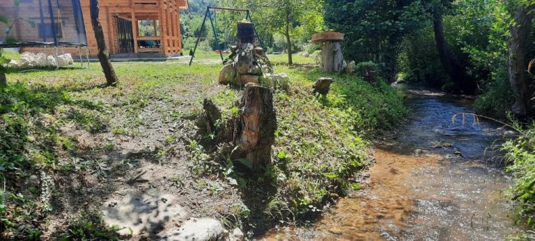 imgi 263 587156619 768x346