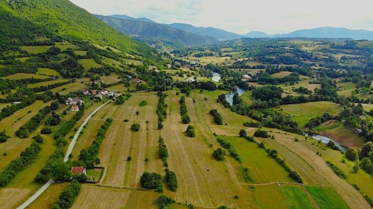 imgi 275 704810708 768x431