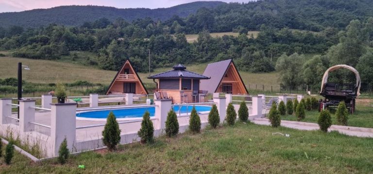 imgi 304 501321007 768x359