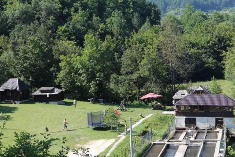 imgi 306 212307375 768x512