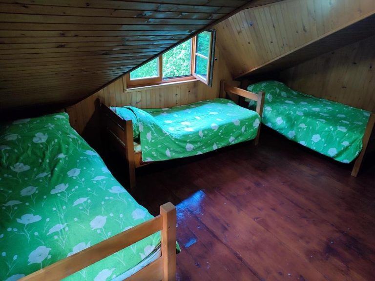 imgi 307 463688392 768x576