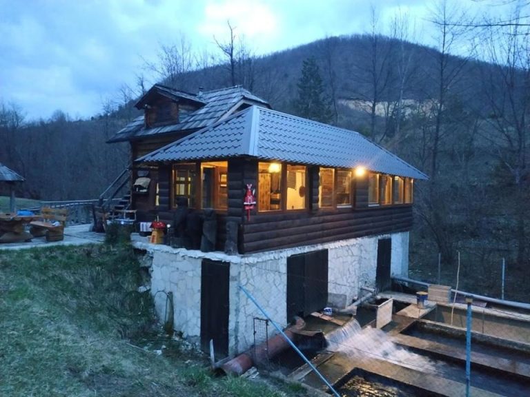 imgi 308 190926210 768x576