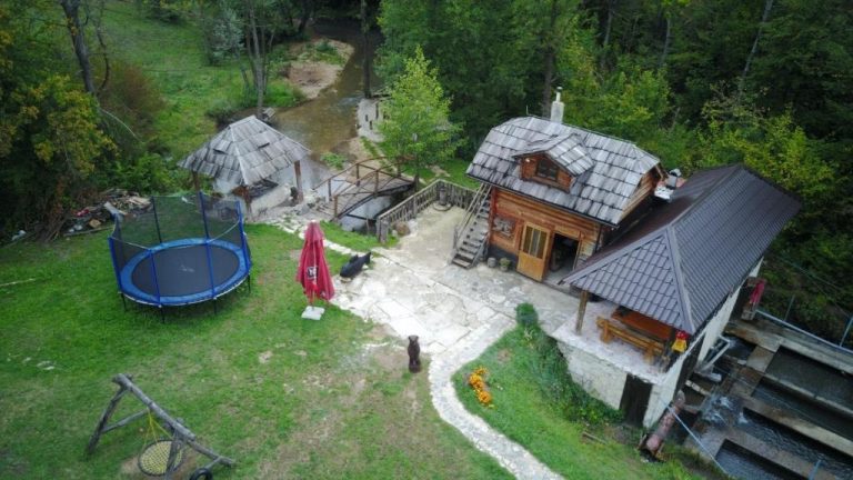 imgi 309 113232580 768x432