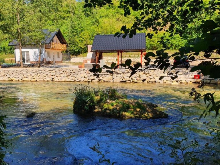 imgi 309 315885579 768x576