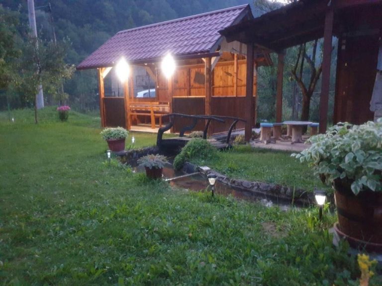 imgi 318 267680659 768x576