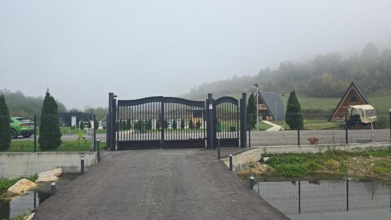 imgi 318 609891772 768x433