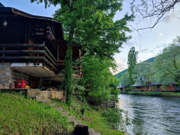 imgi 319 463688436 768x576