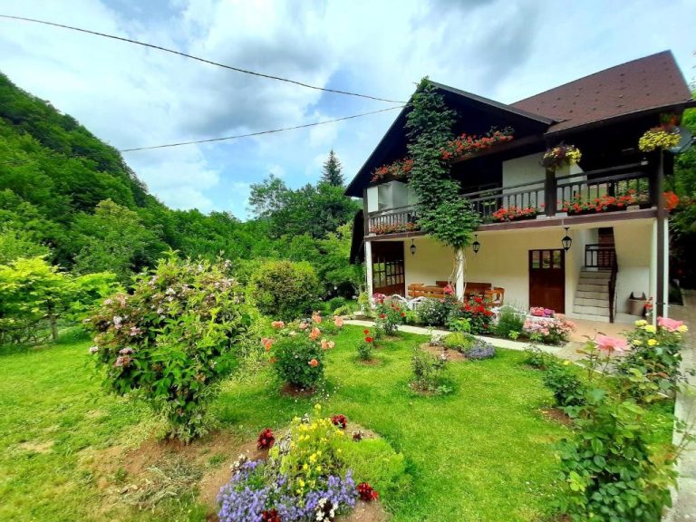 imgi 435 306464235 768x576