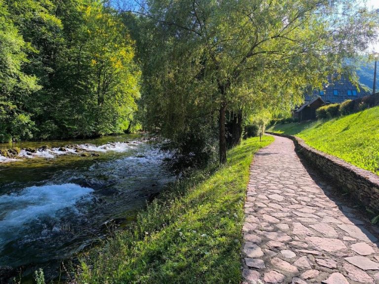 imgi 443 723964239 768x576