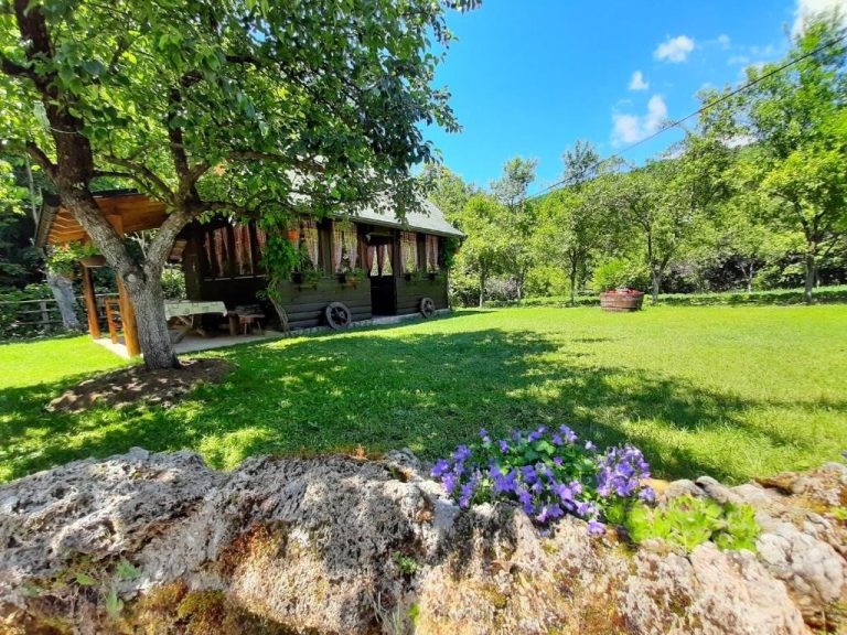 imgi 493 305340607 768x576