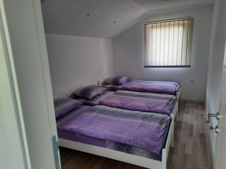 imgi 496 363663779 768x576