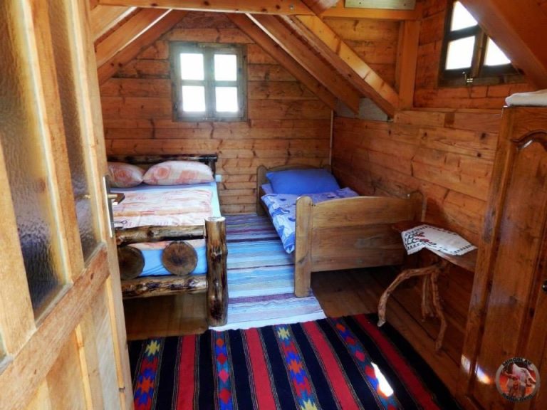 imgi 54 101808422 768x576