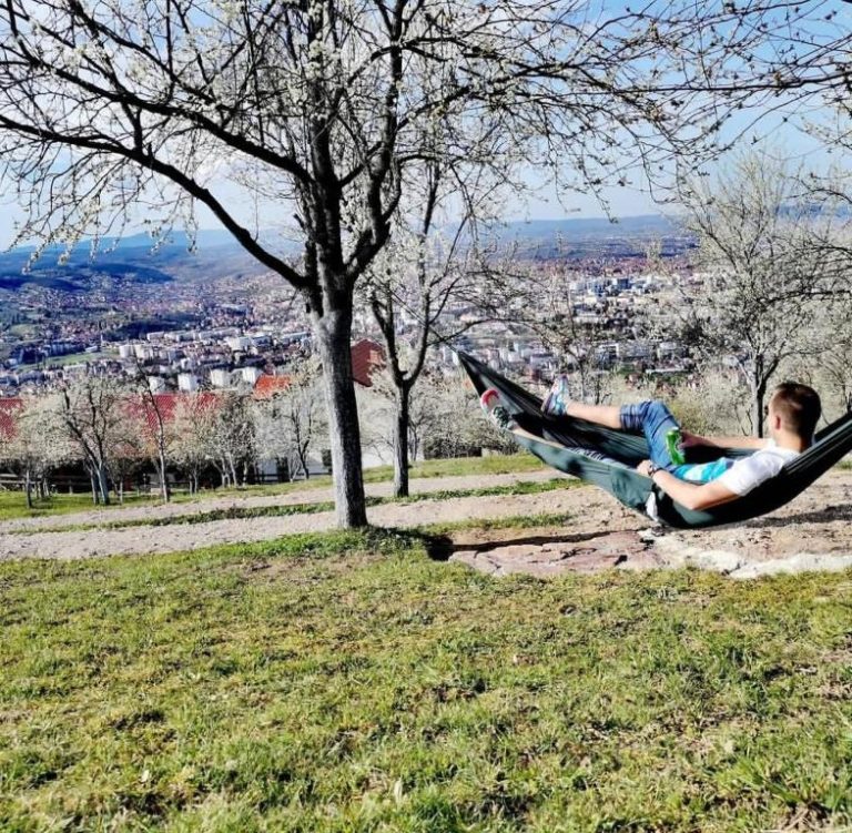 Ranc Vranjes 1 768x751