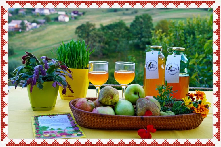 Topic Sokic 2 768x512