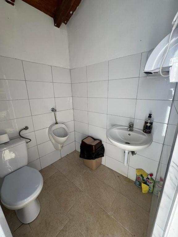 Vidоvo Domacinstvo 7