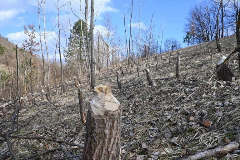 dolinadabrova 2 768x512