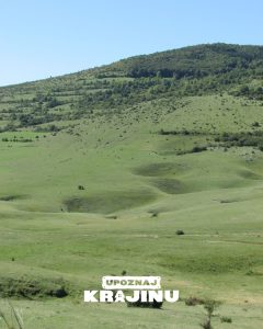 manjaca (4)