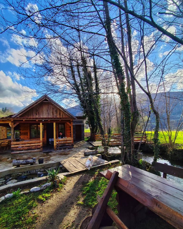 simetic ribnik 3 768x960