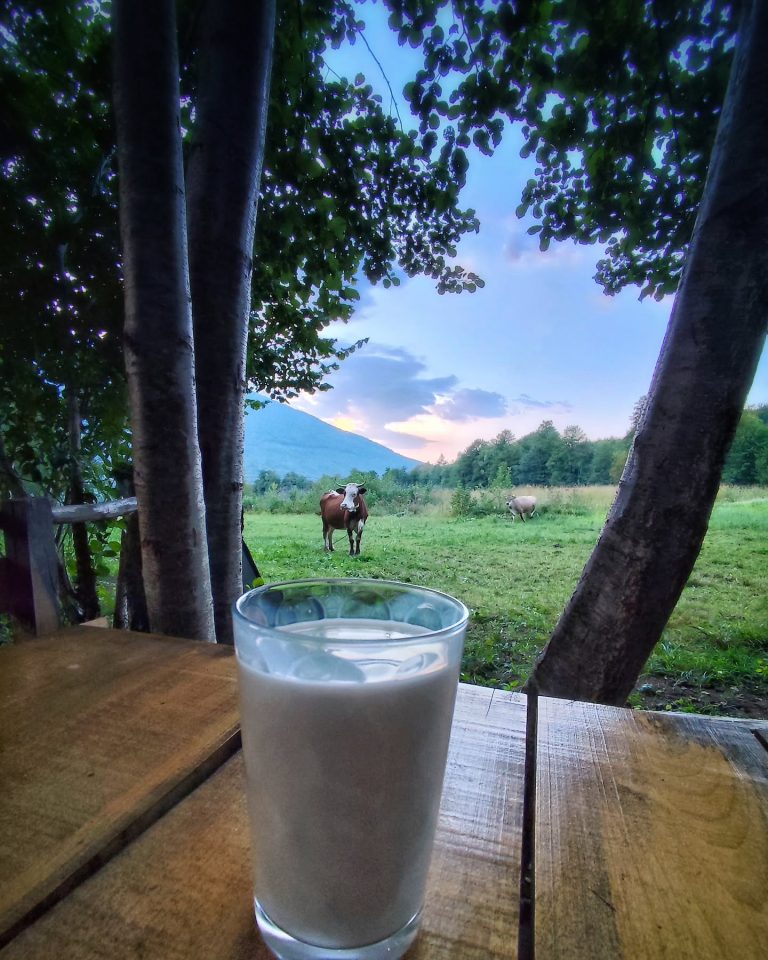 simetic ribnik 6 768x960