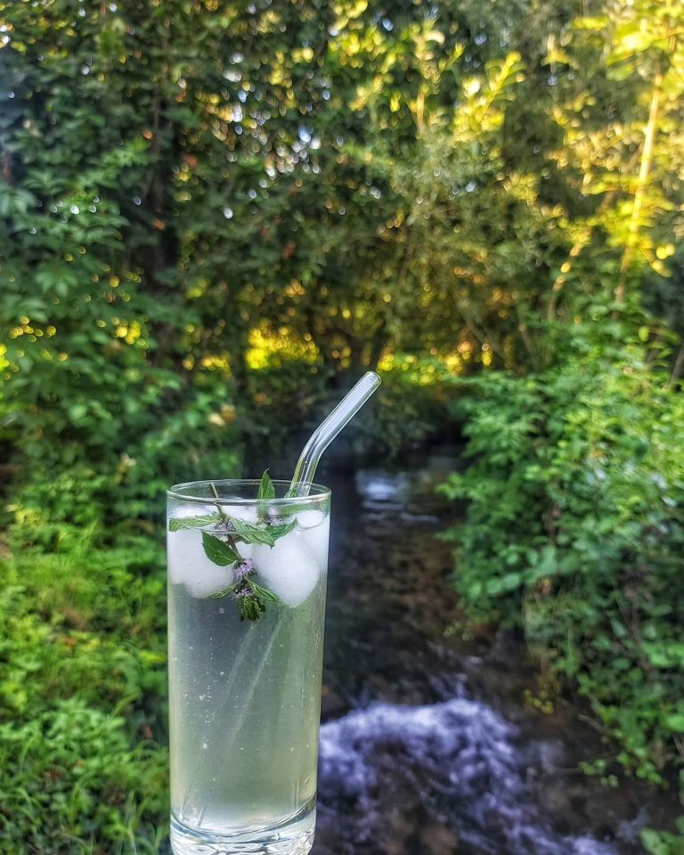 simetic ribnik 7 768x960