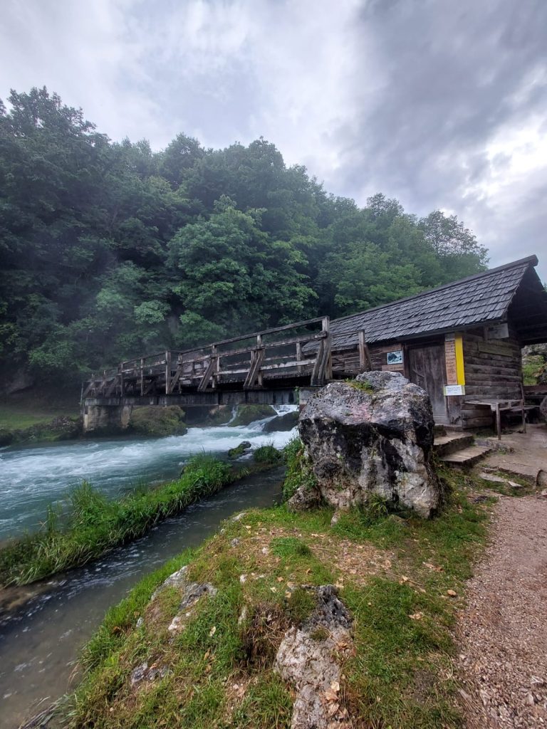 slapovi krupa 1 768x1024