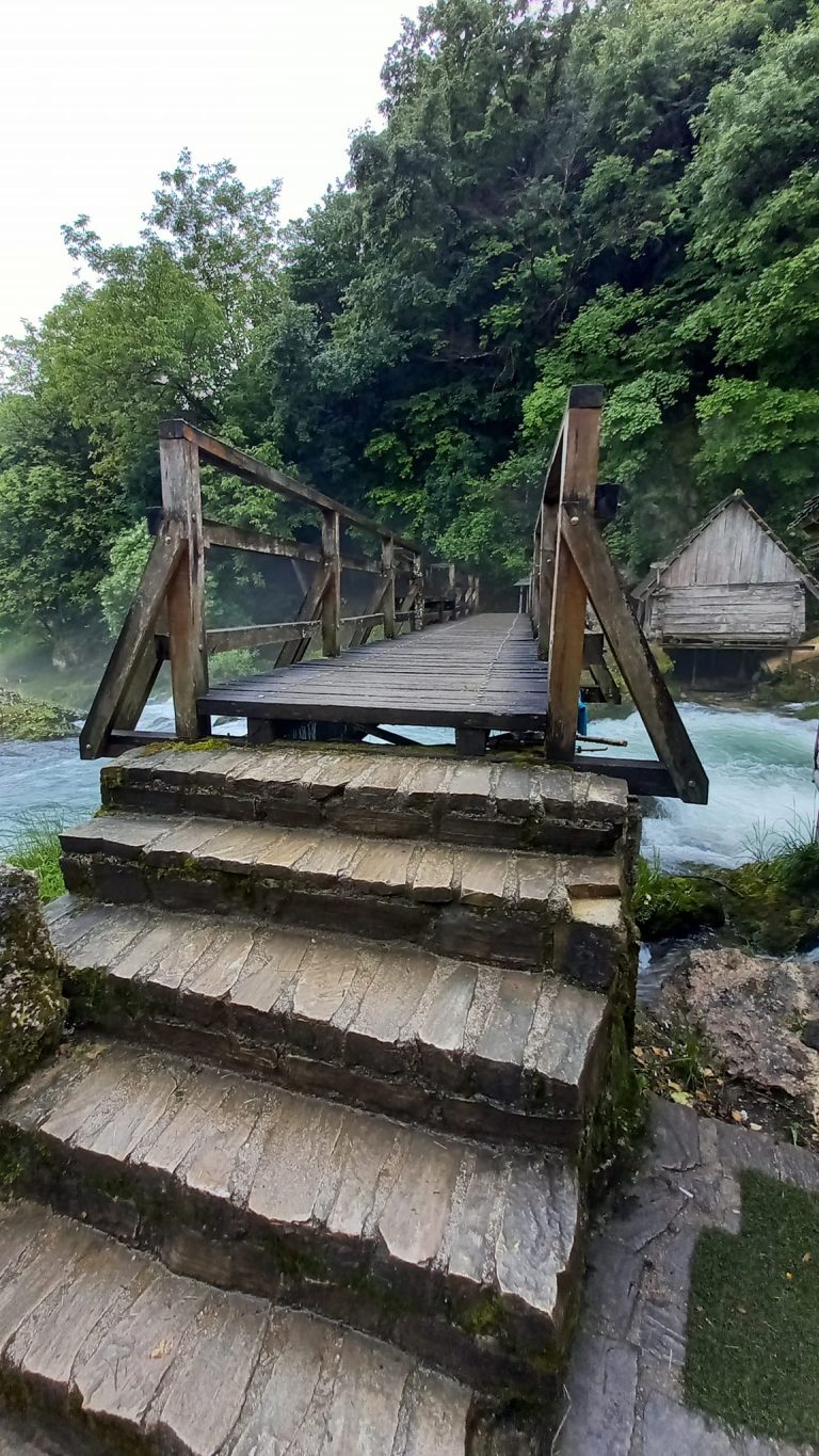 slapovi krupa 2 768x1365