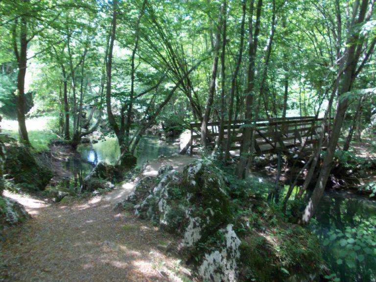 slapovi krupa 6 768x576