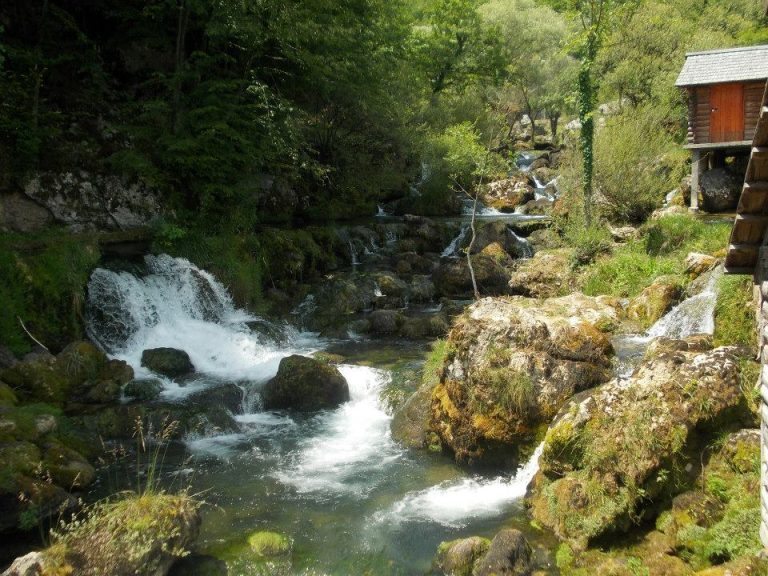 slapovi krupa 9 768x576