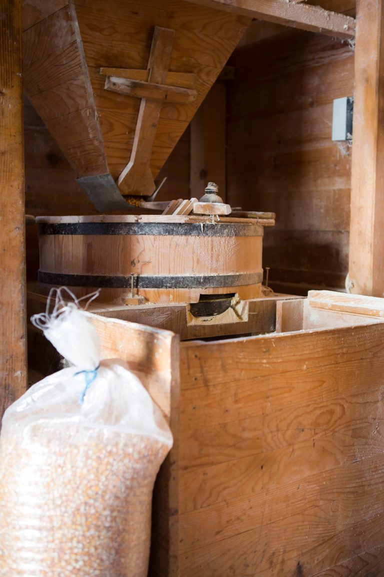 trivuncevicdomacin 5 768x1152