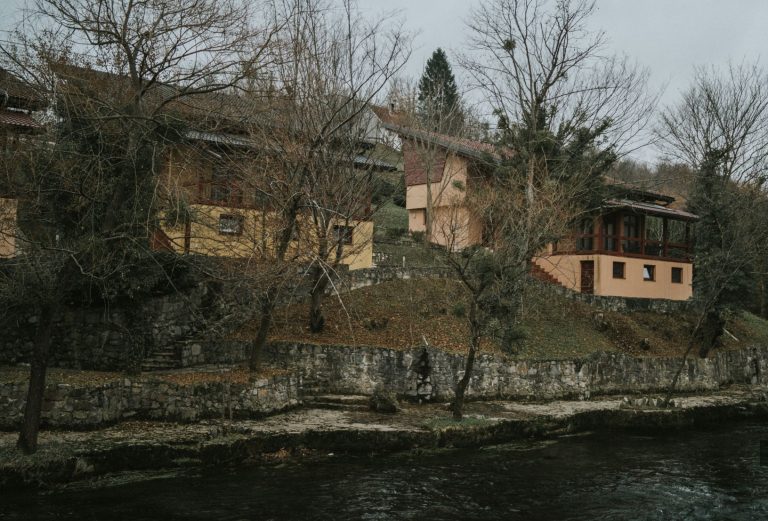 vile ribnik 7 768x521