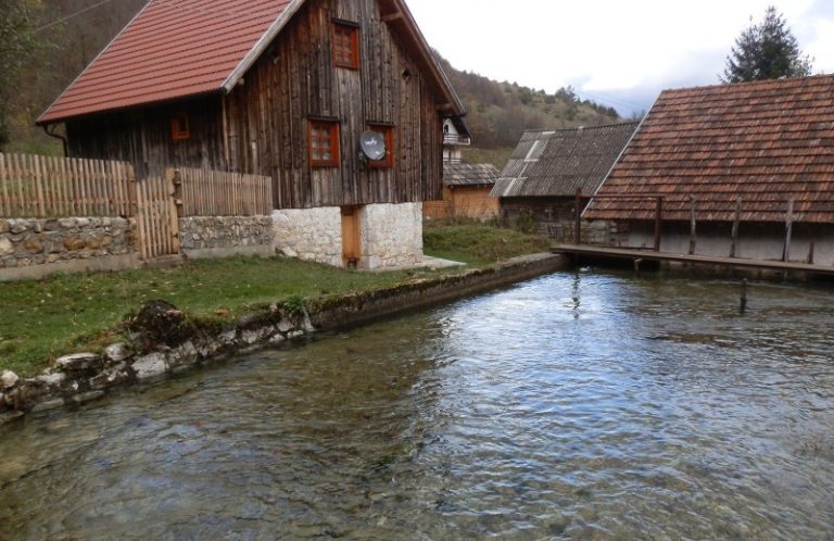 vodenica vasic 2 768x498