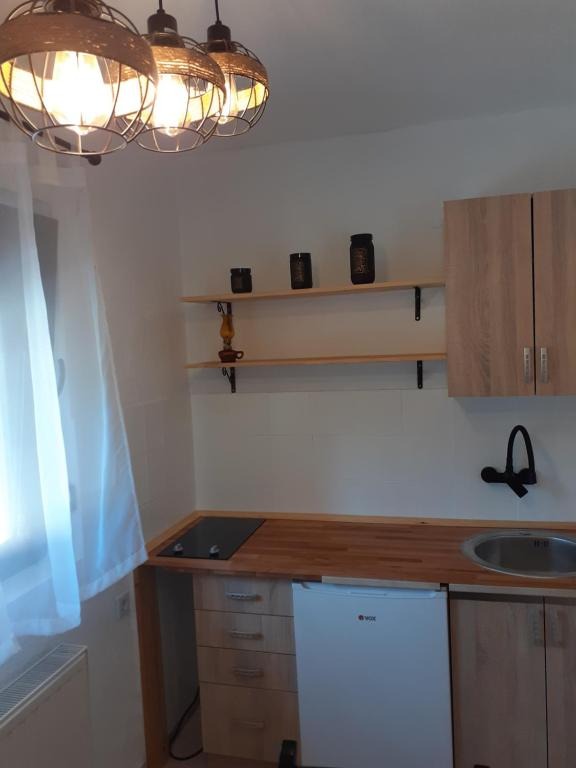 Domus Foresta Apartmani 13