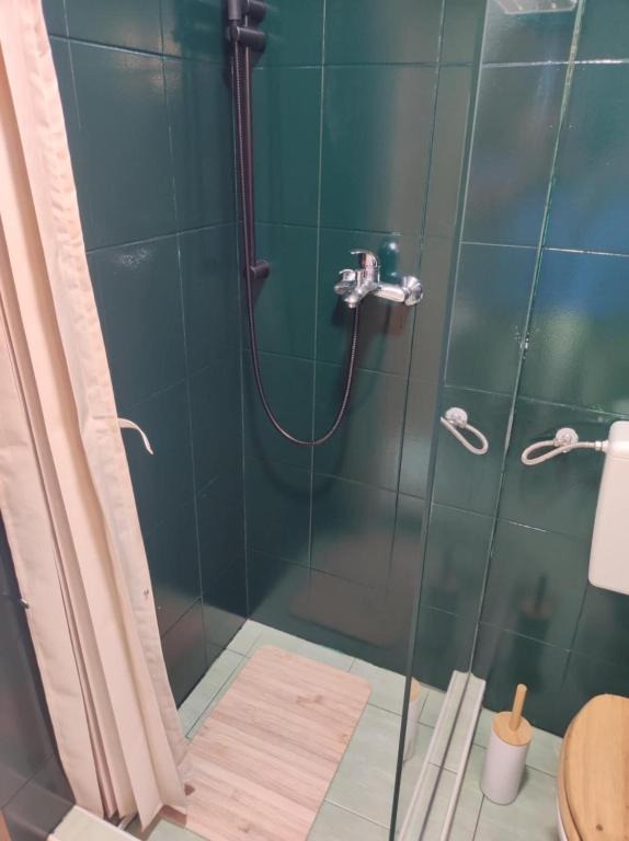 Domus Foresta Apartmani 7