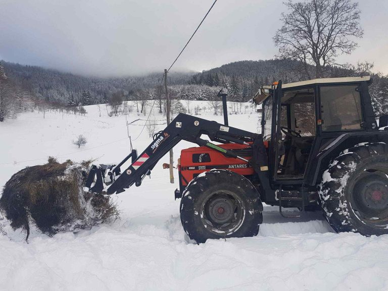 Domacinstvo Cockalo 13 768x576