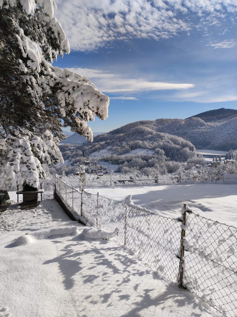 DomusForesta 1 768x1026