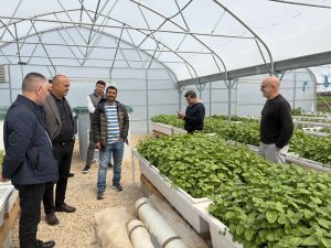 ifad (3)