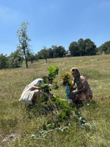 radionica u prirodi (18)
