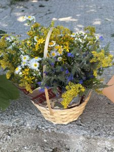 radionica u prirodi (19)