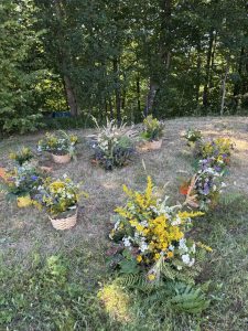 radionica u prirodi (24)